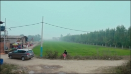 Ganga Mayi Ki Betiyan - 13th January 2026